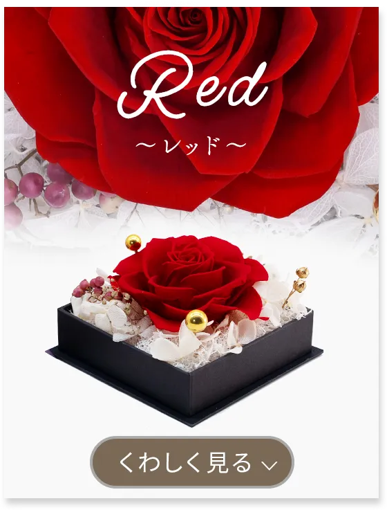 言の花 red 詳しく見る