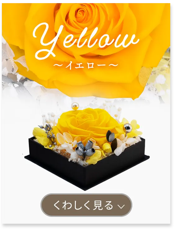 言の花 yellow 詳しく見る